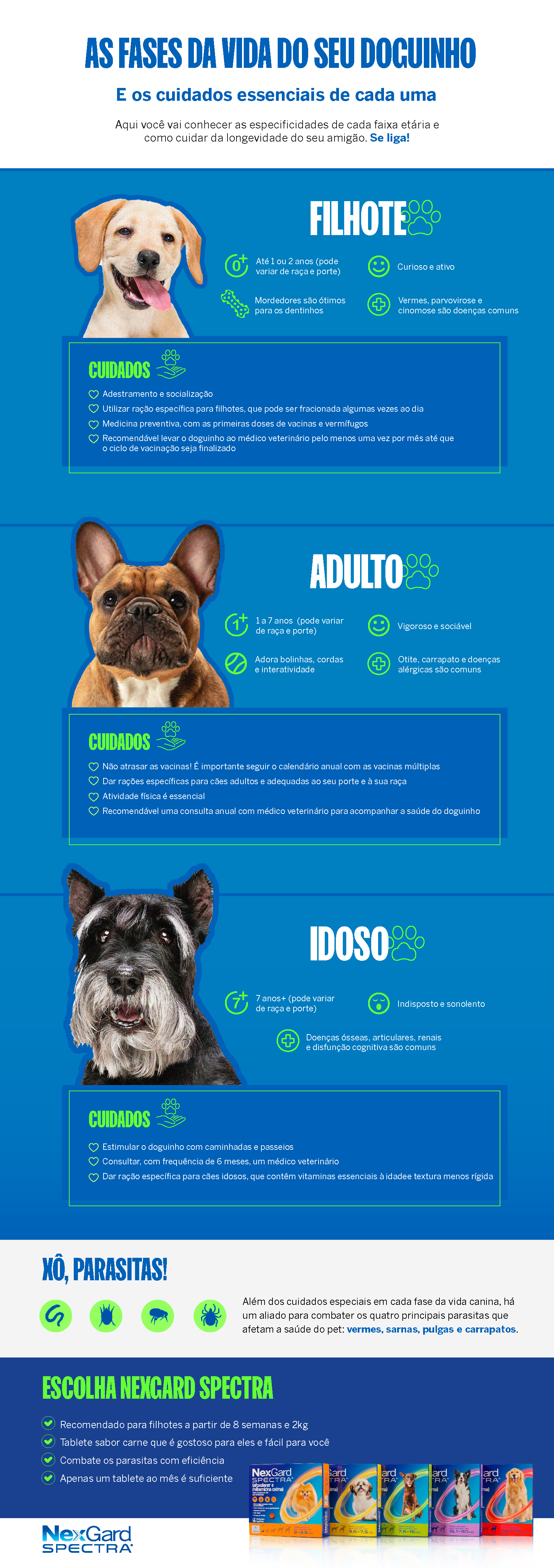 Infográfico